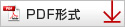 PDF形式