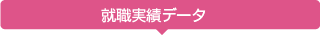 就職実績データ